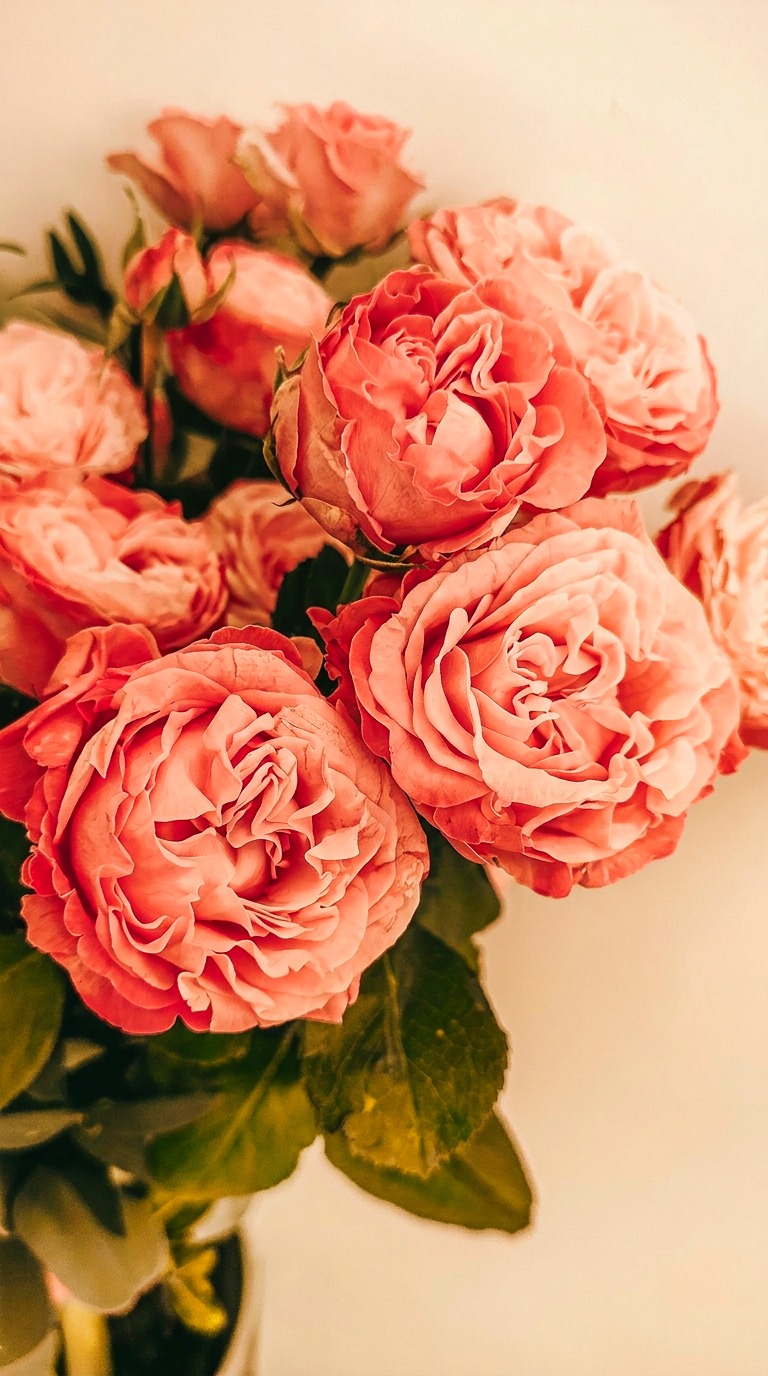 Bouquet of soft pink garden roses
